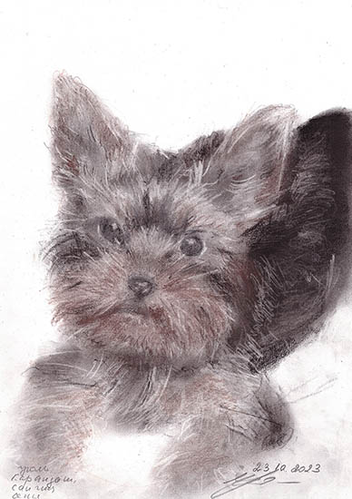 БасяКарандаш. 2024