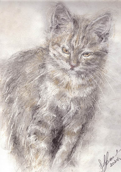 МурзикКарандаш. 2025