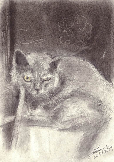 Не беспокойте!Карандаш. 2024